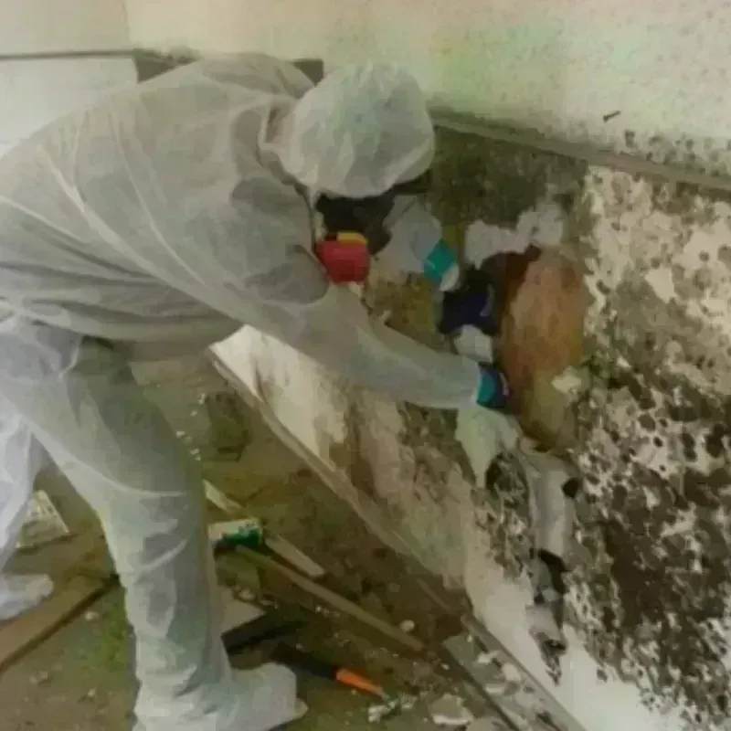 Mold Remediation and Removal in Mahopac, NY